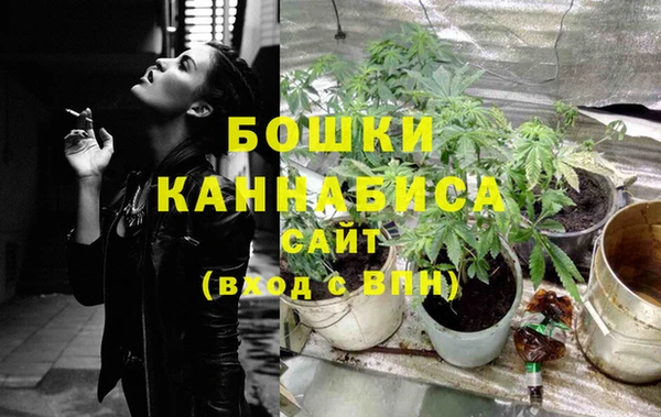 молекула духа Белокуриха