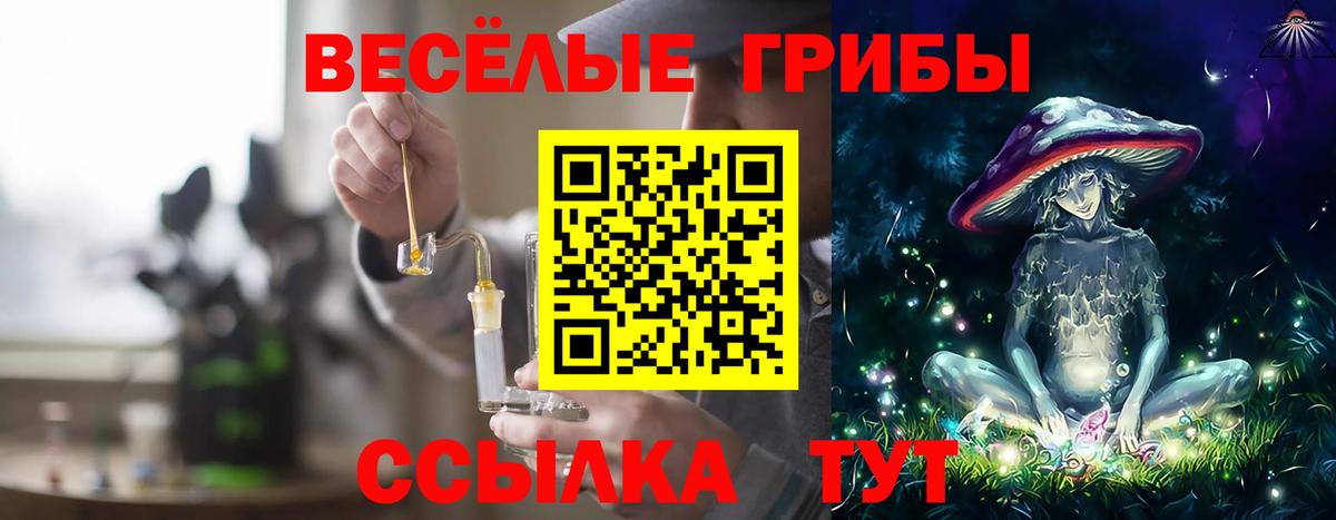 Галлюциногенные грибы GOLDEN TEACHER Кувандык
