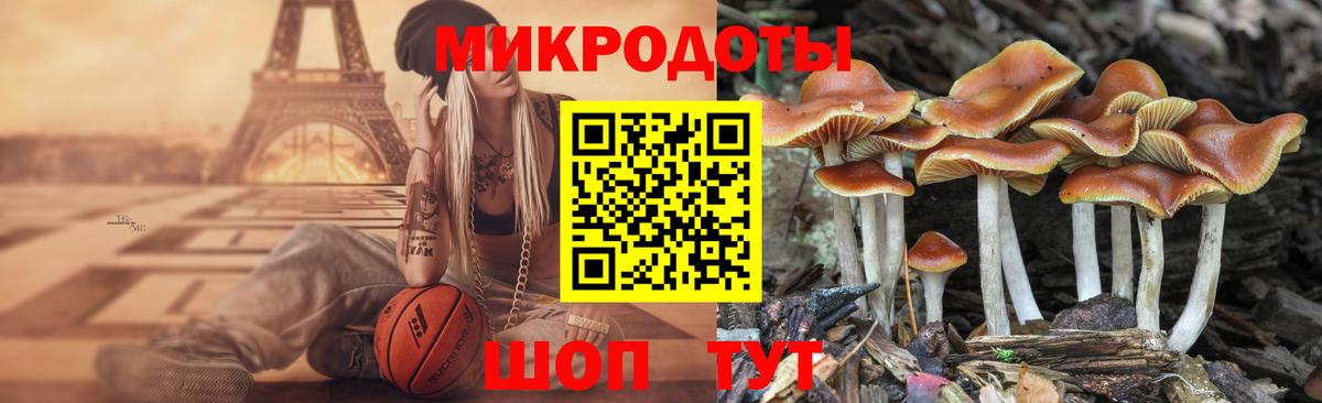 Галлюциногенные грибы Cubensis  где продают наркотики  Кувандык  Вход с VPN  Галлюциногенные грибы мухоморы 