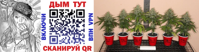hydra ТОР Кувандык МАРИХУАНА индика купить наркоту